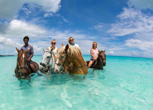 TCI Island Tours
